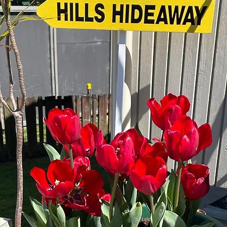 Hill'S Hideaway Hotel Dargaville Kültér fotó